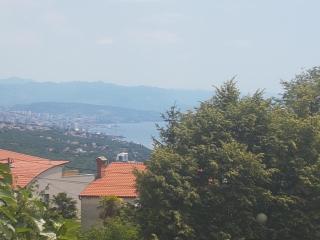 Apartment Garden & Sea - Volosko (Volosca) - 8