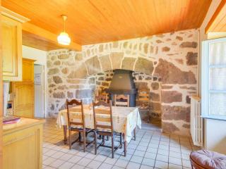 Beautiful villa in the Parc des Volcans d'Auvergne - Vic-sur-Cère - 1