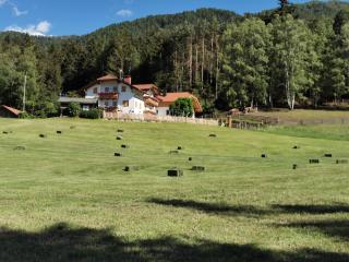 Rauchenbichlerhof - Bruneck - 7