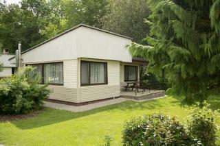 Camping Oaza Błonie Kórnik Domki Standard - 3 pokoje - Kórnik - 7