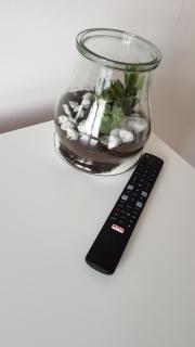 White - 4