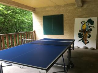 Les MARMOTTES pour 12 avec bain nordique privatif - 6