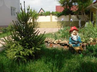 Guest House 1279 - Satoka - 8