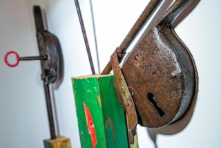 La Quercia e l'Asino - 1