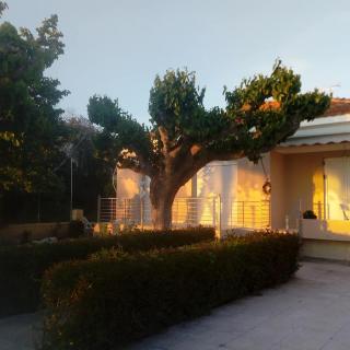 Mamanis Studios - Loutra Edipsou - 9
