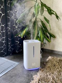 Amazing Apartments - 3