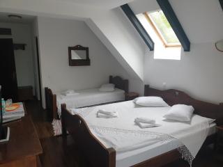 Pensiunea Passiflora - 1