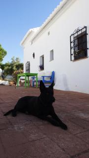Casa del Cielo - Frigiliana - 2