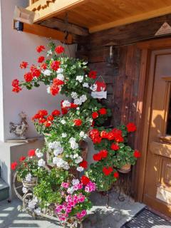 Ferienhaus Grofn - 3