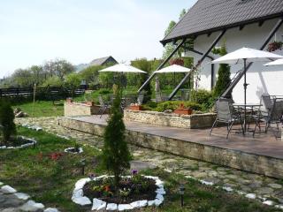 Pensiunea Passiflora - 9