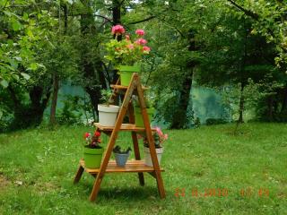 Apartment Green Lagoon - Bihać - 6