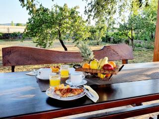 Village House Fafarinka - close to Krka National Park - Konjevrate - 4