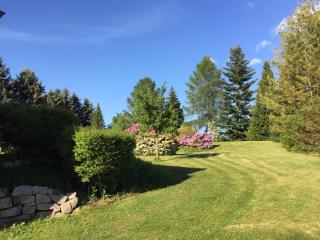 Hotel am Kunnerstein - 1