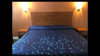 Skyview Motor Inn - Johnston - 6