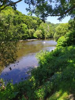 The River's Stones - 3