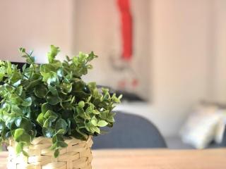 Apartamento Centrico - Casta Alvarez - Zaragoza - 6