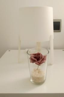 LAB 36 Apartaments - 4