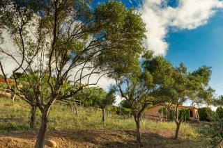 Solemar Sicilia - Le Casette Di Calzata - Campofelice di Roccella - 4