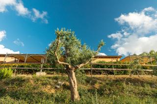Solemar Sicilia - Le Casette Di Calzata - Campofelice di Roccella - 1