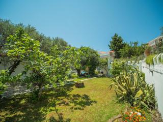 The Turtles Garden - Bečići - 4