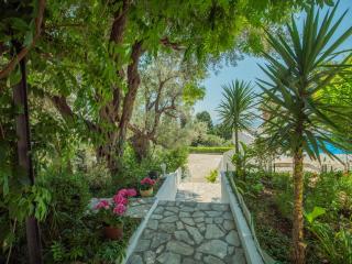 The Turtles Garden - Bečići - 3