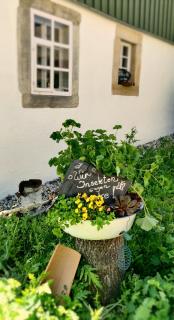 Hotel Neue Höhe - Klingenberg - 4
