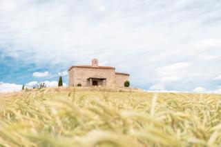 LA CASA DEL BUHO - 9