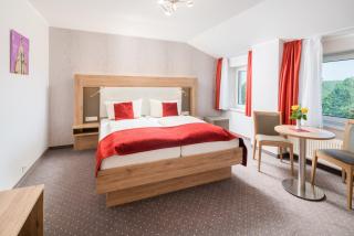 Hotel Rabennest - Rabenau - 7