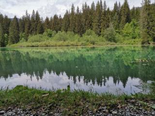 Via stenna - Flims - 8