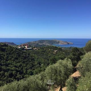 Casa Vacanze Domus - Centola - 0