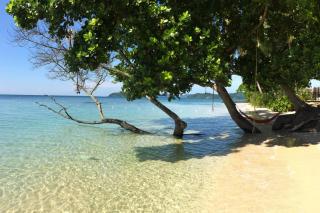Koh Mak White Sand Beach - 8