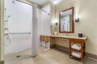 Comfort Inn & Suites Lakewood by JBLM - Lakewood - 4