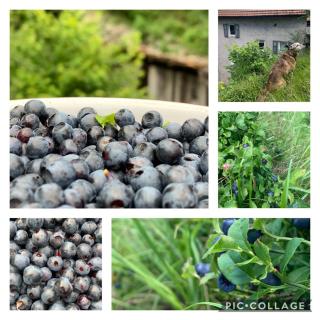 Il mulino di Aurora - 3