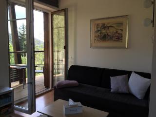 Apartman U sjezdovky - Velké Karlovice - 4