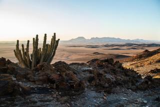 Rostock Ritz Desert Lodge - 3