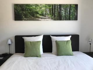 Penthouse Lebierre - Malmedy - 1