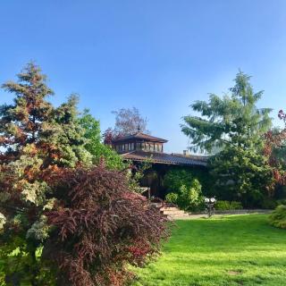 Gala Hotel - Kamianets-Podilskyi - 7