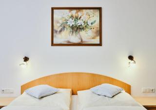 Hotel Rustika - 1