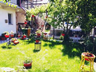 Casa Razvan Vama Veche - Vama Veche - 5