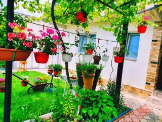 Casa Razvan Vama Veche - Vama Veche - 0