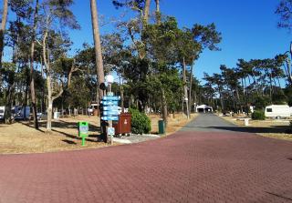 Mira Lodge Park - Praia de Mira - 5