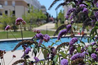 Appartement chic à Nouvelle Terre pour 4 personnes - La Londe-les-Maures - 7