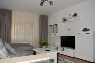 Apartament Tolstoi - 0