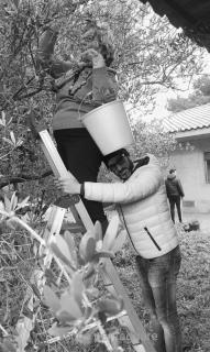 La dimora di Nonno Nuccio - 4