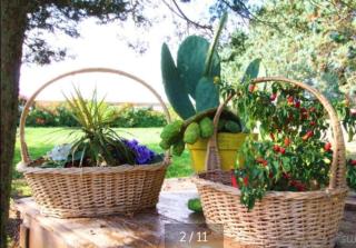 La dimora di Nonno Nuccio - 5