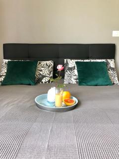 B&B Le Palme - Cassino - 8