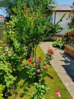 Casa Antonia - Costinesti - 5