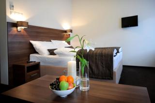 Hotel Biograf - Písek - 9