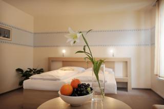 Hotel Biograf - Písek - 1