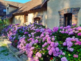 Chambres d'hôtes Domaine De La Jonquière, Bouloire - Bouloire - 4